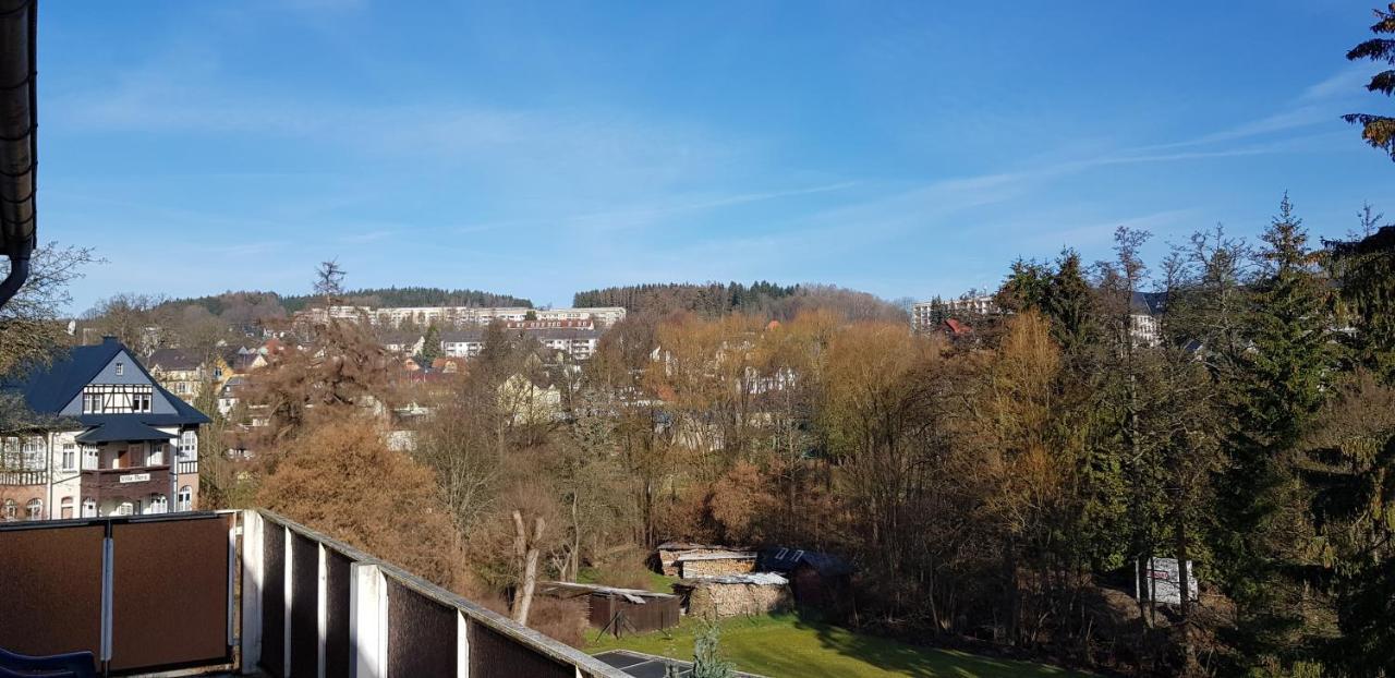 Ferienwohnungen Villa Goldbrunnen Bad Elster Luaran gambar
