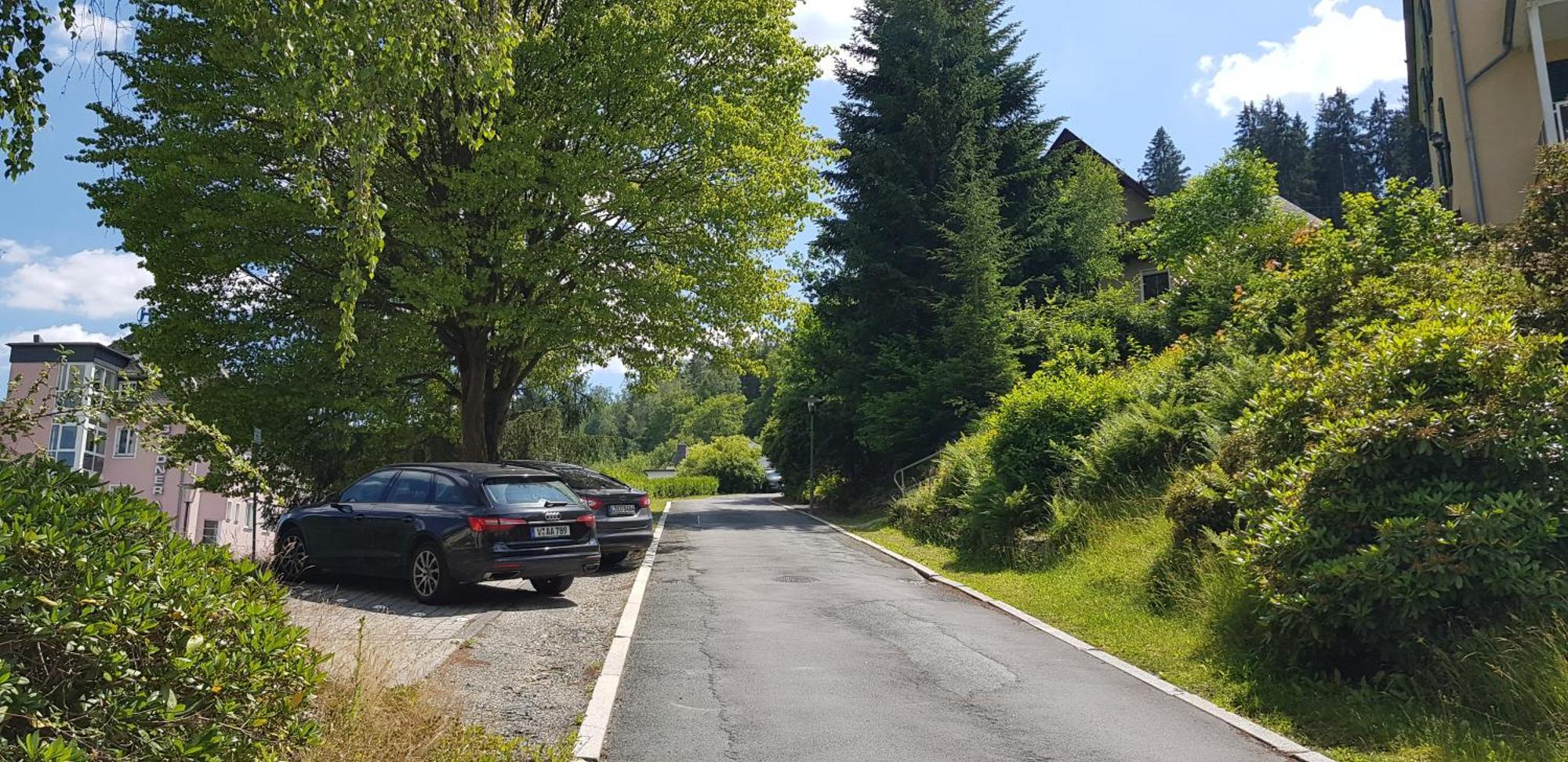 Ferienwohnungen Villa Goldbrunnen Bad Elster Luaran gambar