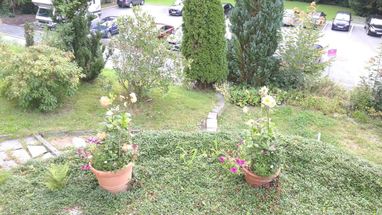 Ferienwohnungen Villa Goldbrunnen Bad Elster Luaran gambar